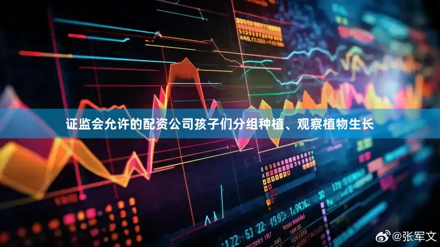 证监会允许的配资公司孩子们分组种植、观察植物生长